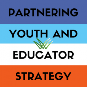 Partnering Youth Educator Strategy